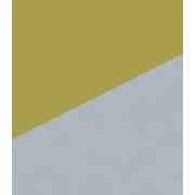 Royal Brites Two Cool Poster Board 22 x 28 Gold/Silver 25 per Pack 24316