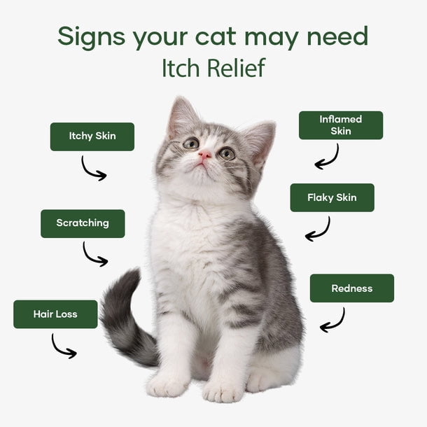 Aniwell Feline Itch Relief Chews | Aloe Vera & Omega-3 | Cat Itchy Skin & Allergy Support | Seasonal Itch Relief for Cats | All Ages & Breeds