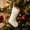White, variant on Christmas Stockings Velvet Hanging Sock with Gold Glitter Bow Embroidery - Large Holiday Gift Bag Ornament for Fireplace Mantel Door Wall, Xmas Winter Home Decor Party Supplies Polyester Blend