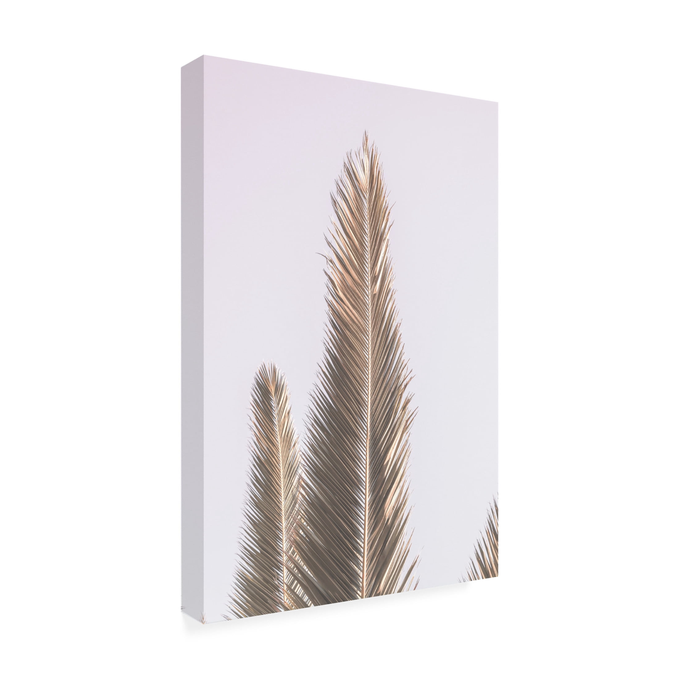 Trademark Fine Art Shot by Clint Phoenix Palm Canvas Wall Art