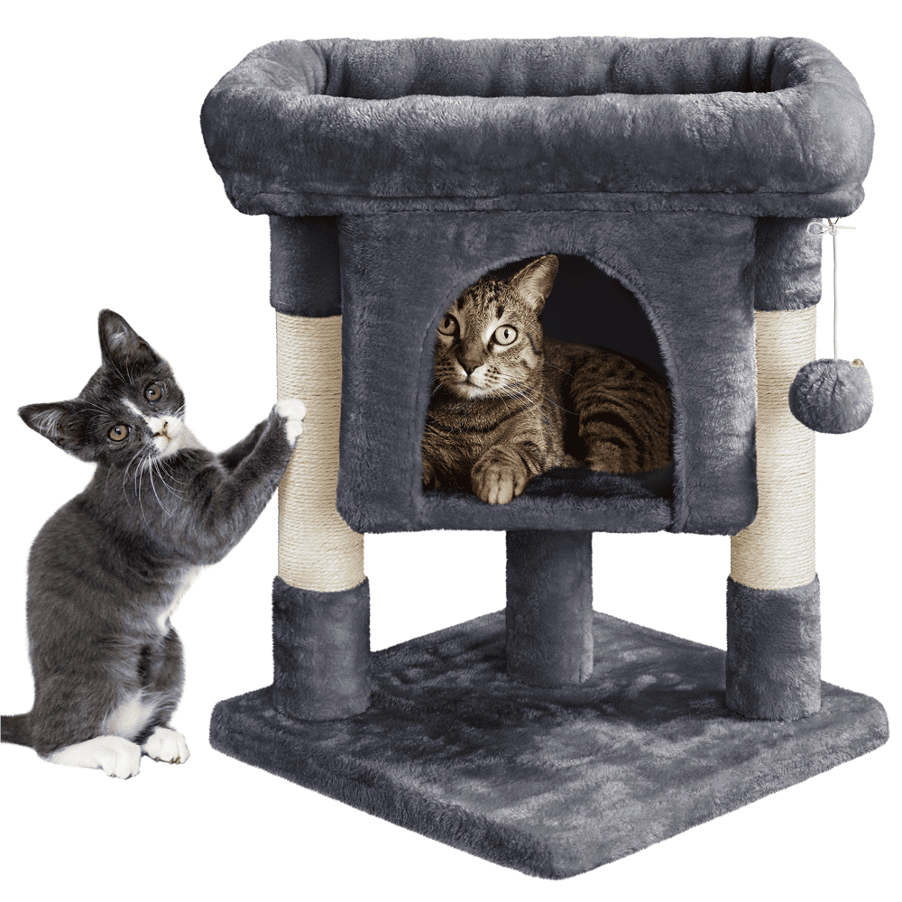 Renwick 23in 2-Level Cat Tree Condo with Scratch Posts, Dark Gray