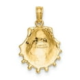 thumbnail image 4 of FJC Finejewelers 10 kt Yellow Gold Lion's Paw Shell Charm 13 x 13 mm, 4 of 6