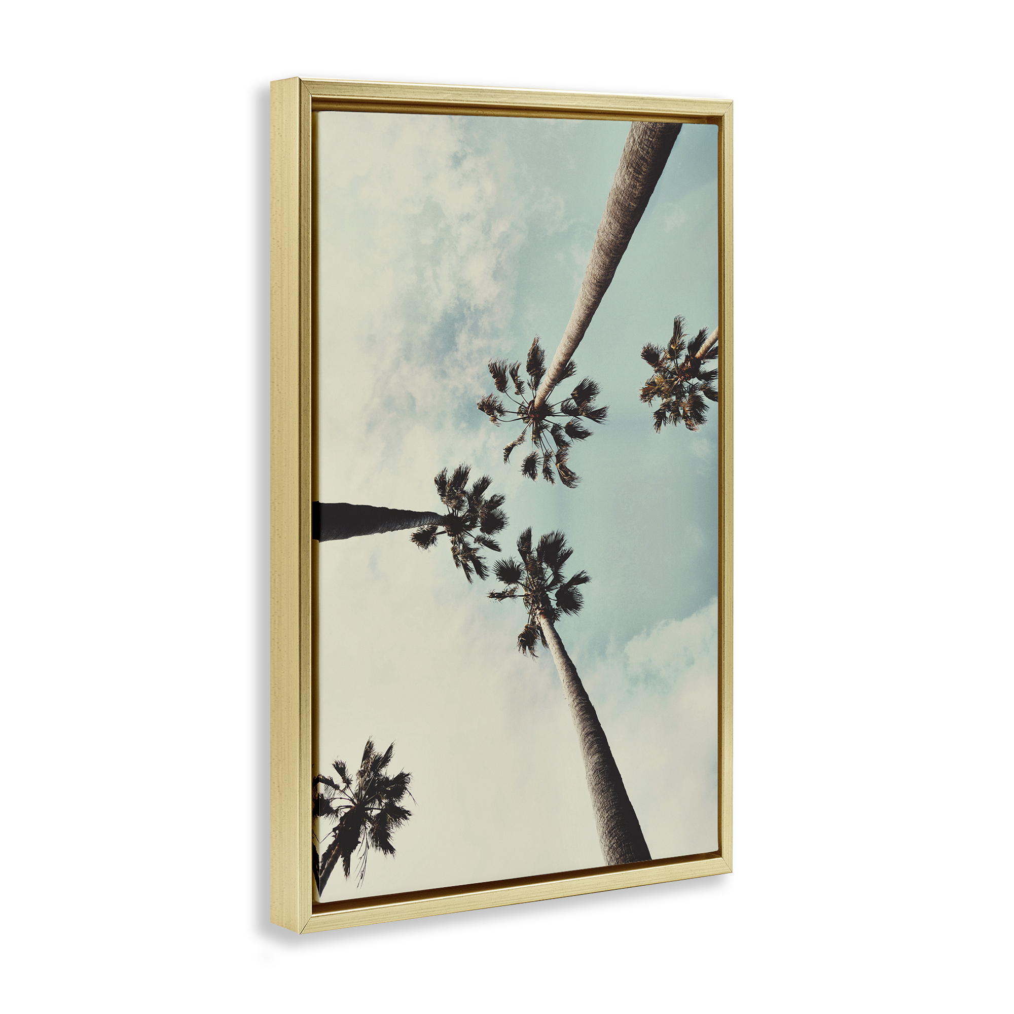 Stupell Industries Centric Tropical Palms Botanical & Floral Photography Gold Floater Framed Canvas Art Print Wall Art, 17 x 25