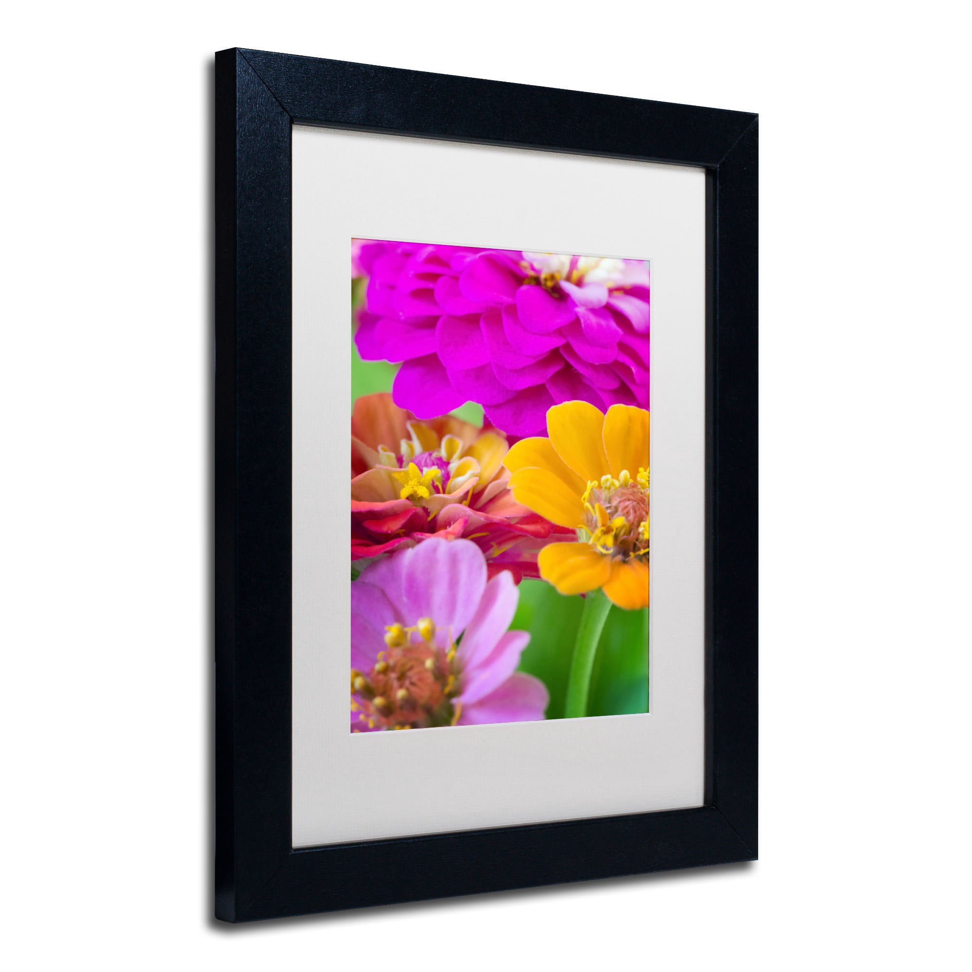 Trademark Fine Art "Bouquet of Inias" Canvas Art by Philippe Sainte-Laudy, White Matte, Black Frame