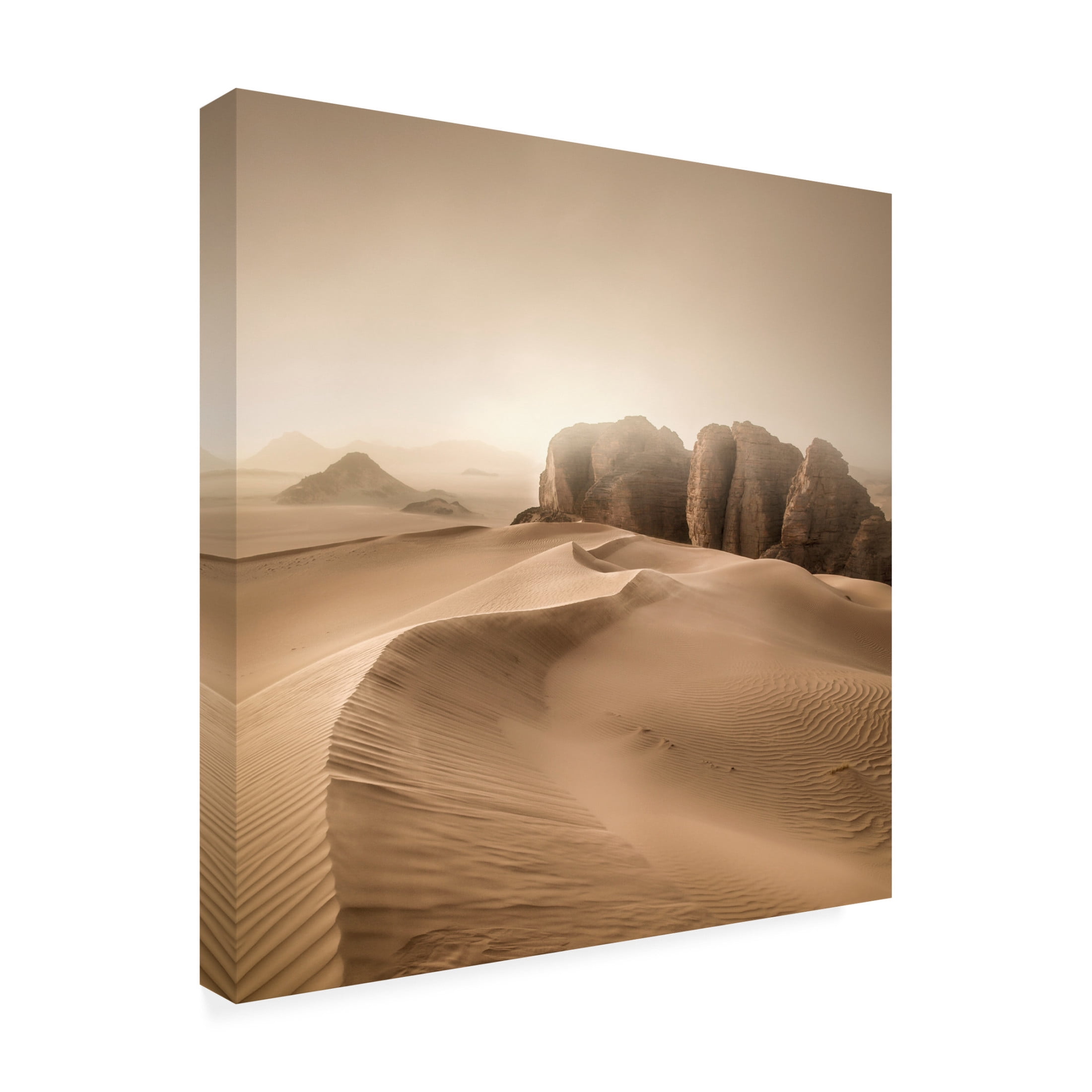 Trademark Fine Art Jean Luc BILLET  Erg Admer Canvas Wall Art
