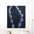 thumbnail image 1 of Double Helix Wall Mural by Wallmonkeys Peel and Stick Graphic (24 in H x 20 in W) WM298560, 1 of 4