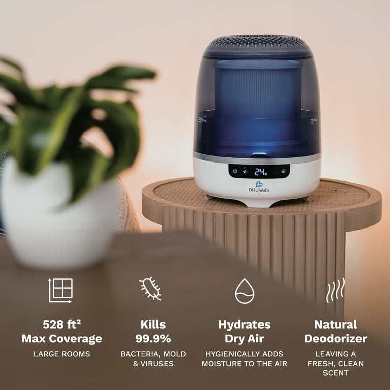 Air purifier sale dry air