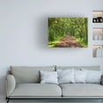 thumbnail image 3 of James McLoughlin 'Country Road Photo IV' Canvas Art, 3 of 3