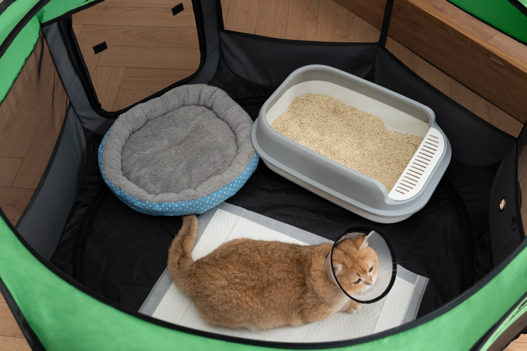 Upgraded Dog Playpen 48" Pop-up Pet Playpen with PVC-Coated & 2 Side Pockets, Durable Large Pet Pen for Dogs, Cats, Chicken, Indoor Recovery, Training