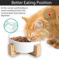 thumbnail image 4 of Cuenco para perros, cuenco de comida, cuenco de alimentación para perros y gatos con soporte, 4 of 6