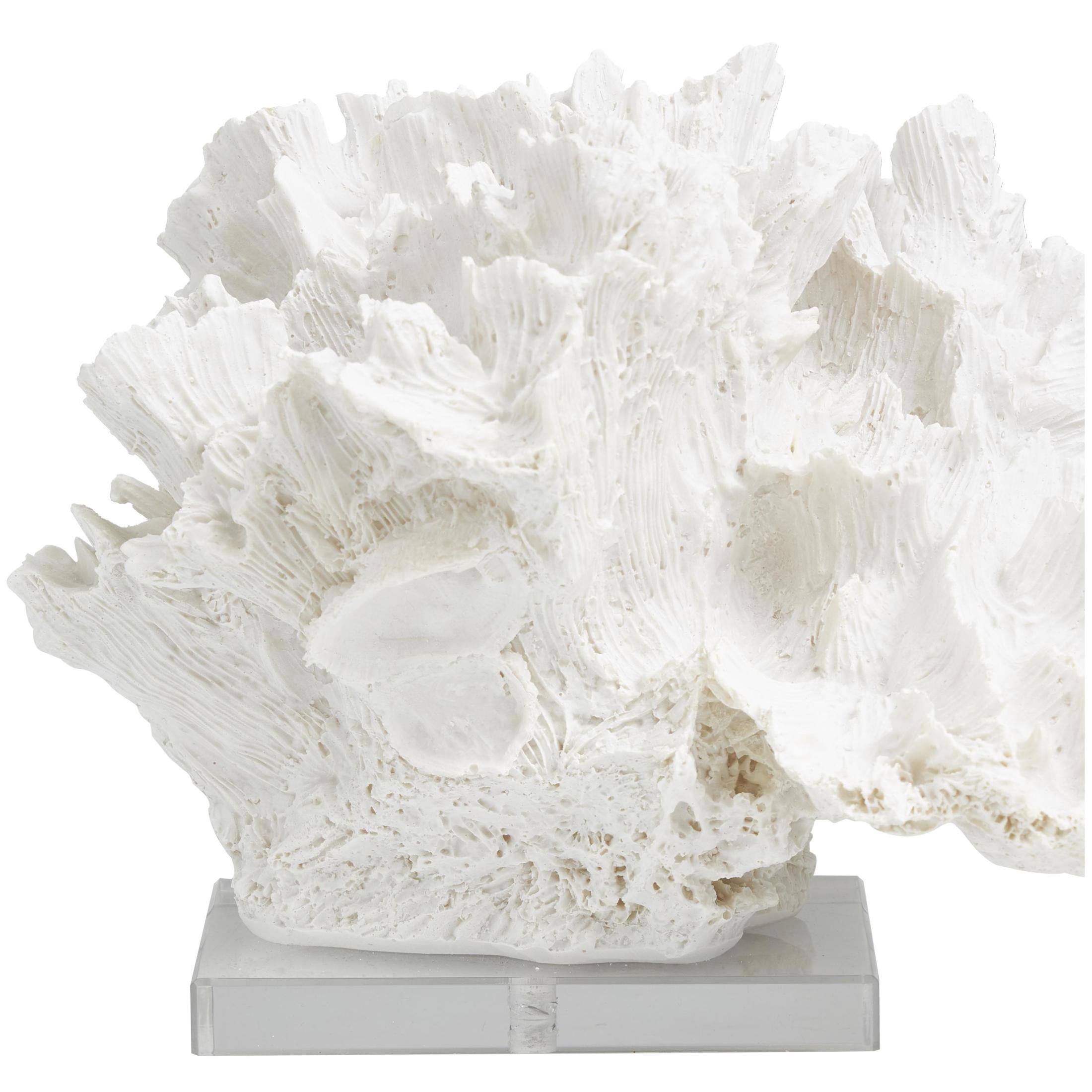 12" x 8" White Polystone Textured Coral Sculpture with Clear Acrylic Base, by DecMode