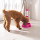 thumbnail image 3 of 1 dispensador de agua para mascotas, comedero automático para mascotas, bebedero automático para mascotas, suministros para mascotas, 3 of 6