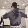 thumbnail image 3 of Suéter y polar con capucha de cachemira para bebé 2022, nueva versión coreana suelta para niño, ropa para niños grandes para mantener el calor, 3 of 4