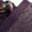 Purple/Pink/Grey, variant on Men's Kai 1 Garden State Basketball Shoes, from StockX