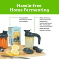 thumbnail image 2 of Nourished Essentials | My Mason Makes Wide Mouth Mason Jar Lids For Drinking, 2 of 8
