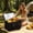 Black, variant on JZCHUNTOY Insulated Cooler Bag, Leakproof Reusable Lunch Tote, Portable Thermal Food Storage Bag for Outdoor Picnic, Camping, Office Travel to Keep Hot and Cold Food Fresh