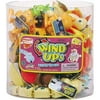 Wind-Up Toy Assorted Case Pack 36