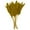 Yellow Solid Cluster 2" x 1" x 35", variant on 35" Grass Dried Plant Natural Foliage Pampas Bouquet with Long Stems, by DecMode