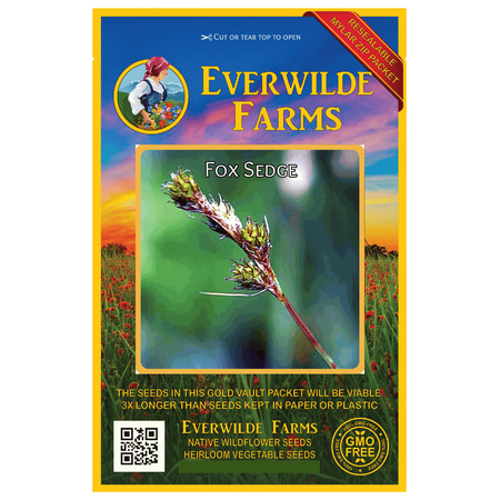 Everwilde Farms - 1000 Fox Sedge Native Grass Seeds - Gold Vault Jumbo Bulk Seed Packet