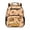 Ice Cream Capybara, variant on KUIFORTI Football Lighting Boys Backpack Kids School Bag Lightweight Comfortable Adjustable Straps Multiple Storage Pockets for Preschool Kindergarten Back to School Supplies