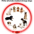 thumbnail image 3 of Collar LED para perros, recargable por USB, collar luminoso de seguridad para la noche, collar luminoso de moda para perros pequeños y medianos (1 unidad, rojo, 34 cm), 3 of 5