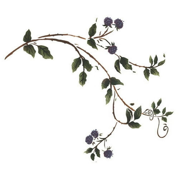 Blackberry Vine B Wall Stencil - DEE606B by DeeSigns