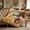 Multicolor2#, variant on ChicYu Colorful Dinosaur Printed Flannel Throw Blanket, 51"x59", Soft Cozy Sofa Bed Cover, Lightweight All Season Throw Blanket, Manta Franela de Dinosaurios, Couverture Flanelle de Dinosaures