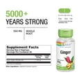 thumbnail image 3 of Solaray Ginger Root 1100mg | Healthy Digestion, Joints and Motion & Stomach Discomfort Support | Whole Root | Non-GMO & Vegan | 100 VegCaps, 3 of 6