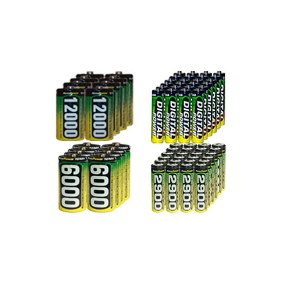24 AA (2900 mAh)+ 24 AAA (1200 mAh) + 8 C (6000 mAh) + 8 D (12000 mAh) NiMH AccuPower Batteries