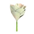 thumbnail image 1 of Flor suculenta artificial Oficina en casa Decoración de plantas suculentas falsas Decoración floral EVA, Mediana, Verde rosa AweSitey HA6992-02B, 1 of 6