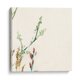 thumbnail image 1 of Cuadro decorativo - Posey Posey Vi, Jennifer Goldberger 20x20 Canvas Lab Botánica, Naturaleza, 1 of 2