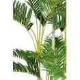 thumbnail image 3 of Vintage Home Artificial Faux Real Touch 80'' Tall Palm Tree in sustainable Planter, 3 of 5