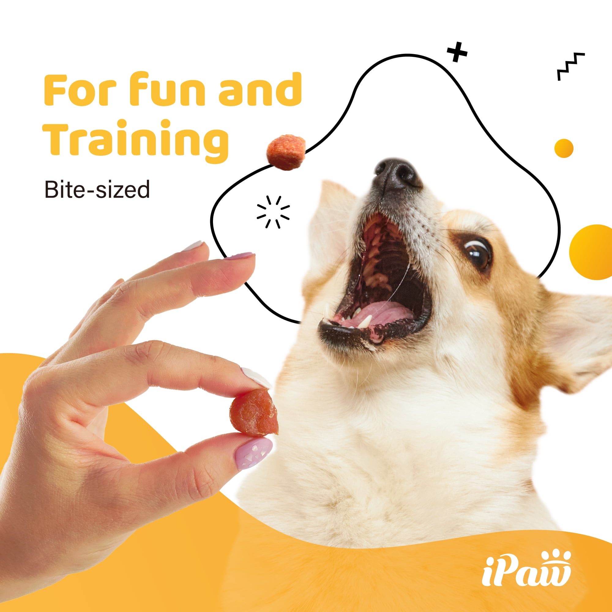 iPaw Dog Treats for Puppy Training, All Natural Human Grade Dog Treat, Hypoallergenic, Easy to Digest (Chicken Tots), 3 Packs