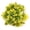 Yellow, variant on BOKYAN Artificial Aquarium Grass Ball Colorfast Fish Tank Plastic Plant Landscaping Decor, Green, 5.91 in / 15 cm