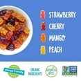 thumbnail image 3 of YumEarth Organic Gummy Bears BCF26 - Fruity Gummy Candy Snack Packs, Gluten Free Snacks for Kids - Allergy Friendly, Non-GMO, No Artificial Dyes - Assorted Flavors, 10.5 oz. (Pack of 15), 3 of 5