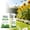 Spray-1pc, variant on Plant Insect Cover with Zipper and Drawstring Garden Netting Mesh Barrier for Fruit Trees Vegetables Flowers Protection from Birds Bugs Animals 27.6x39.4 in