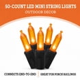 thumbnail image 3 of Indoor/Outdoor 50-Count LED Mini String Lights, Orange, 9.5', Halloween by Way To Celebrate, 3 of 8