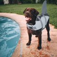 thumbnail image 4 of Dog Life Vests, Dog Life Preserver For Swimming, Boat, Pool, Ripstop Dog Life Jacket With High Buoyancy And Lift Handle For Small And Medium Breedsxl, 4 of 4