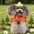 thumbnail image 4 of Hytrove Disfraz Portátil Para Perro Perfecto Para Y Celebraciones, 4 of 7