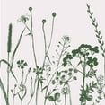 thumbnail image 3 of Lula Bijoux and Company 12x12 Black Modern Framed Museum Art Print Titled - Green Flower Spray 2, 3 of 5