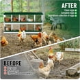 thumbnail image 5 of 2025 New Metal Chicken Nesting Boxes, Heavy-Duty Galvanized Steel Egg Laying Box with 6,8,10 Compartments, Rustproof, Easy to Install & Clean, Wall-Mountable Design for Poultry Coops, 5 of 6