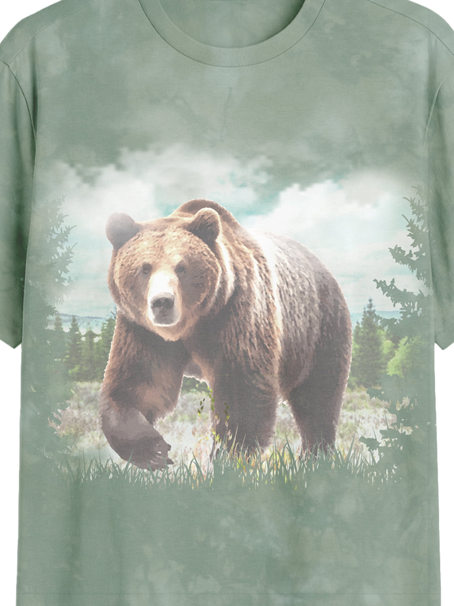 Forest Bear, Men's & Big Men's Graphic Tee Shirt, Sizes S-3XL