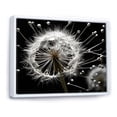 thumbnail image 2 of Designart "White Black Dandelion II" Floral Floater Framed Wall Art Print, 2 of 7