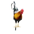 thumbnail image 4 of Estatuas de gallo Strade Fareast Limited estaca de jardín Metal 25x10,8x0,1 cm, 4 of 8