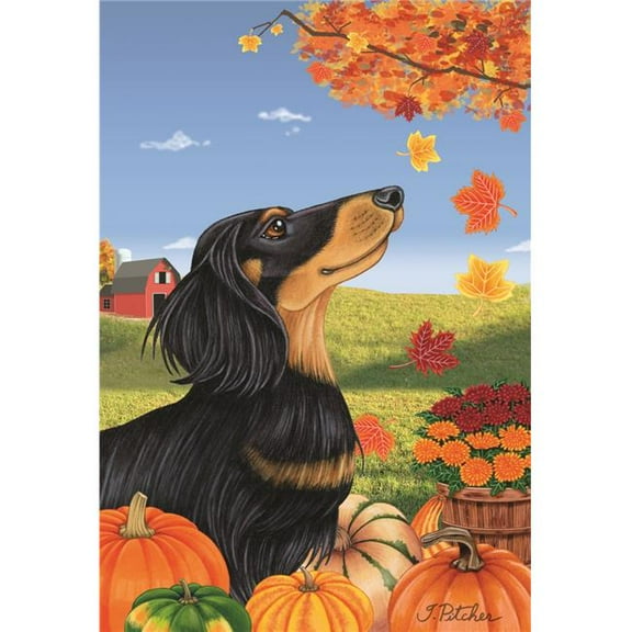 Best of Breed TP67069 Dachshund Black & Tan Longhaired Autumn Leaves House Flag