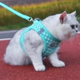 thumbnail image 6 of Nkmbld Dog Harness and Leash, Easy Control Soft Breathable Mesh Vest, Escape Proof Safe Adjustable Kitten Vest Harnesses for Small Medium Dogs, Cats, 6 of 8
