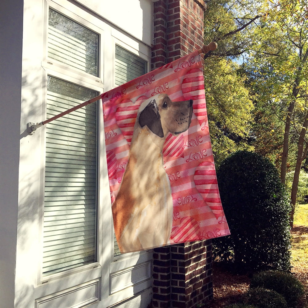 Fawn Natural Great Dane Love House Flag