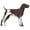 German Shorthaired Pointer, variant on SignMission 6 in. Super Cute Dog Decal - German Shorthaired Pointer - Pack of 2