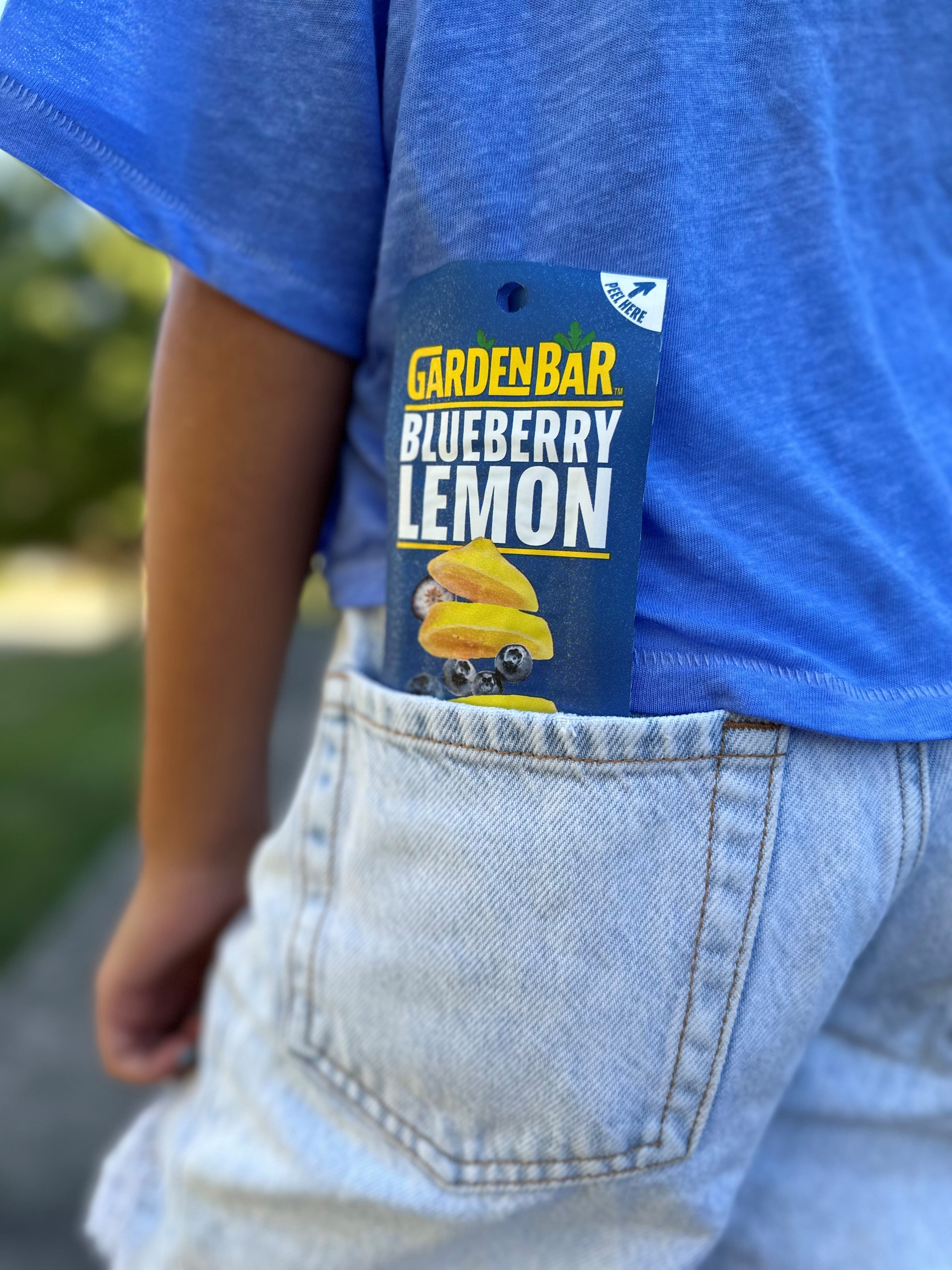 Garden Bar Blueberry Lemon Dehydrated Fruit Jerky 12 Count