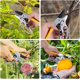 thumbnail image 2 of Podadoras de jardín, podadoras alemanas, tijeras de podar con trinquete, trabajo 3 veces más fácil, herramientas de jardinería, para recortar rosas, flores, árboles, plantas vivas, tijeras d, 2 of 5